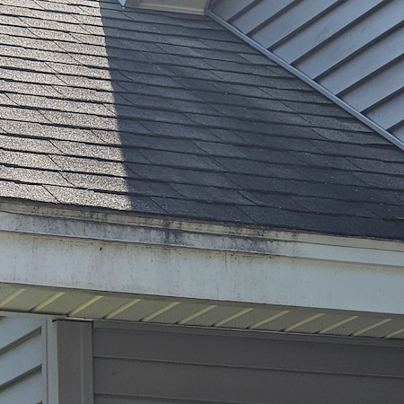 Roof Soft Washing vs. Traditional Pressure Washing: What’s Safest for Bangor Homes?